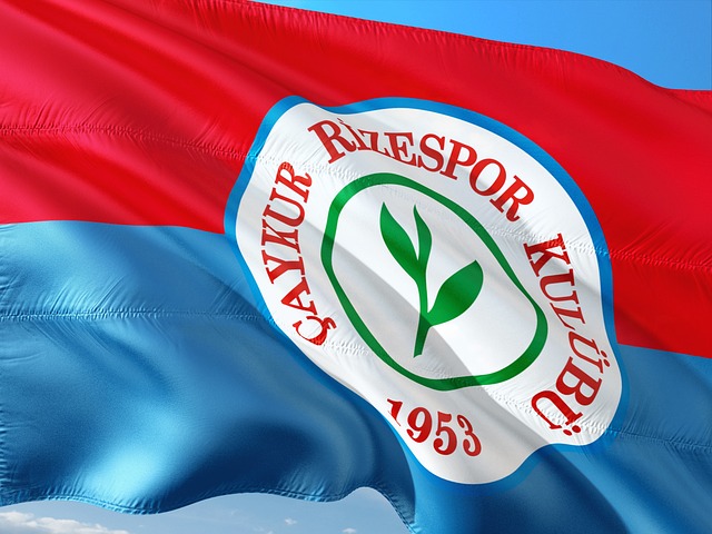 员如果能够 员如果能够