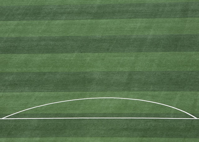 法手段获取 法手段获取