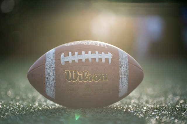 的替补出场 的替补出场