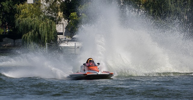 在此次替补 在此次替补